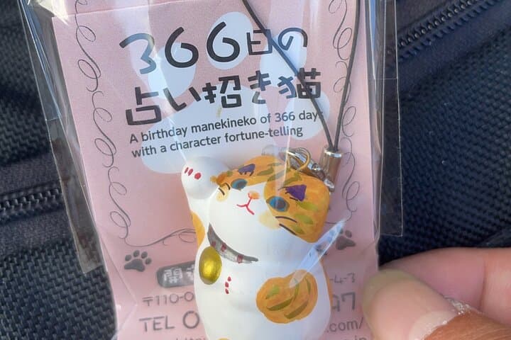 YANESEN JPN Sweets & Sake Pairing Old Tokyo walk w/ a local guide — photo 20