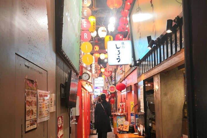 Nagoya Night Bar & Food Tour with Locals 【Private Tour】 — photo 5