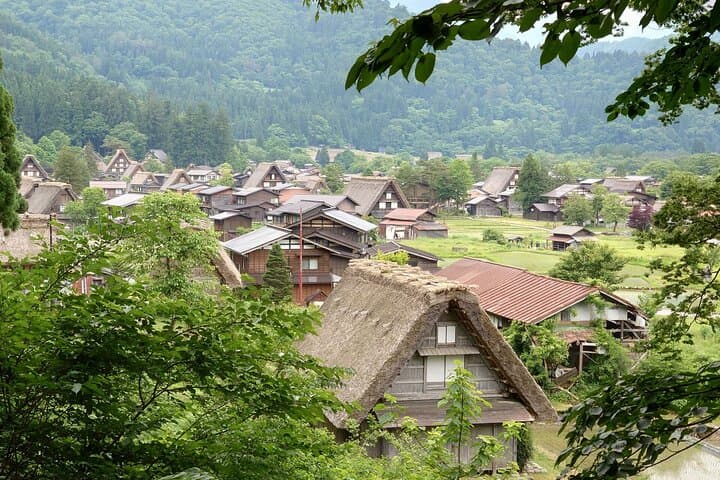 4 Days Central Japan Tour from Nagano to Kanazawa — photo 15