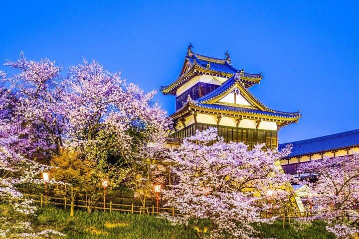 Osaka Kansai Airport to Nara City | Private Transfer — photo 8