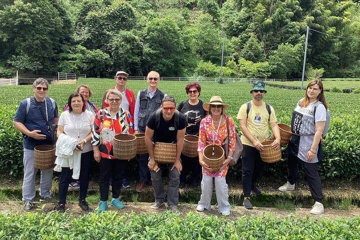 Small Group Japanese Green Tea Tasting in Shizuoka — photo 4