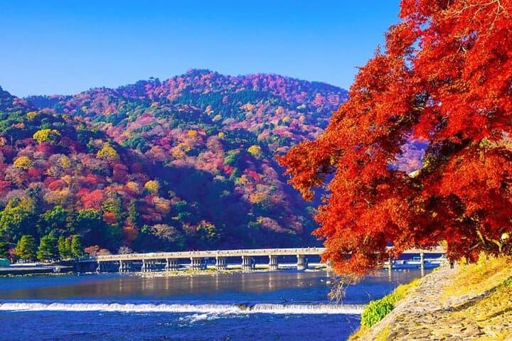 Arashiyama Bamboo & "Must See" Gardens with an Amazing Guide — photo 3