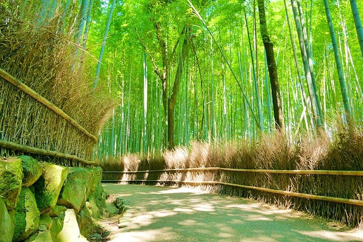 Arashiyama Bamboo & "Must See" Gardens with an Amazing Guide — photo 6