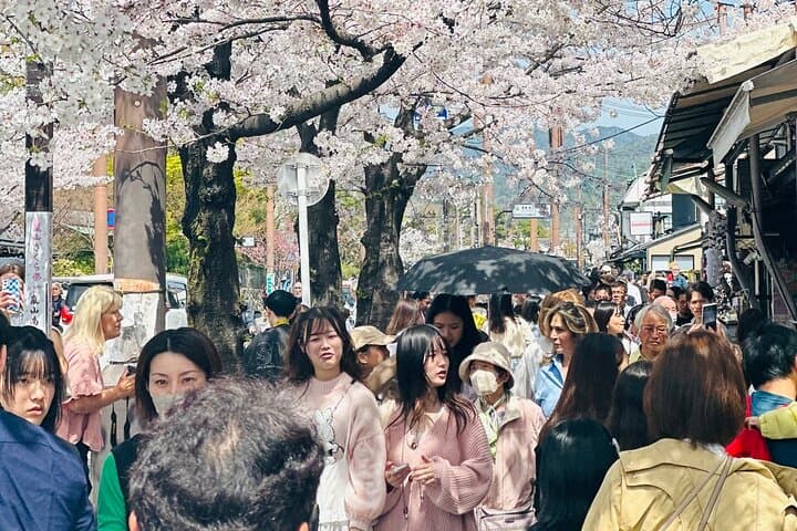 Kyoto Adventures Private English Tour With Hotel Pick Up — photo 3