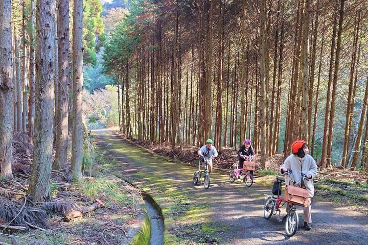 World Agricultural Heritage BROMPTON Slow Cycling Tour — photo 7