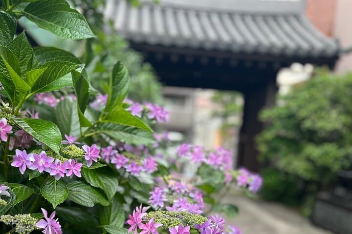 2 Hours Flower Arranging Ikebana Class Temple Tokyo Ota-ku — photo 9