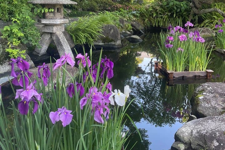 Kamakura: Craft Music Box & Discover Japan's Biggest Buddha! — photo 17