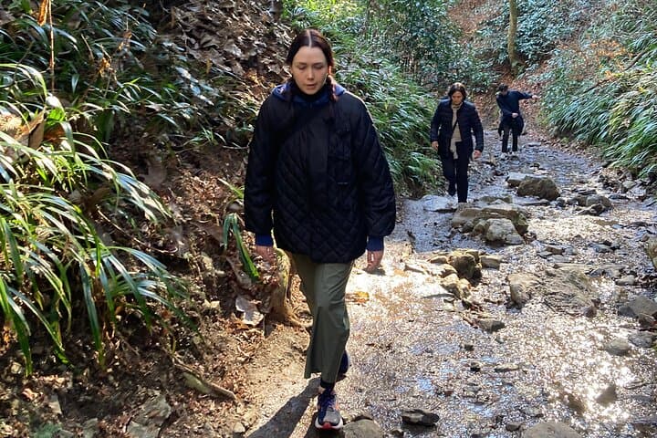 Full Day Hiking Tour at Mt.Takao including Hot Spring — photo 14