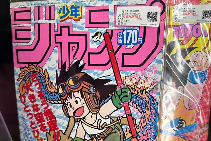 Private Akihabara Retro Tokyo Anime Game Maid Cafe Tour w/ pickup — photo 15