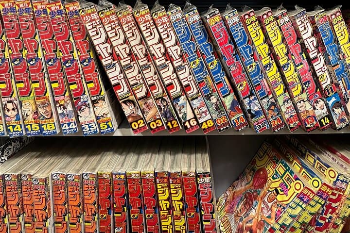 Private Akihabara Retro Tokyo Anime Game Maid Cafe Tour w/ pickup — photo 18