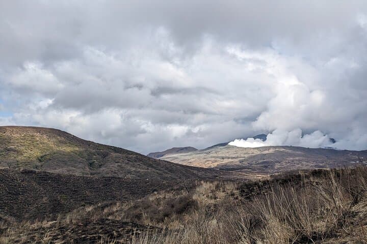 Private guided tour: Mt. Aso volcano, grasslands, Aso Shrine — photo 14