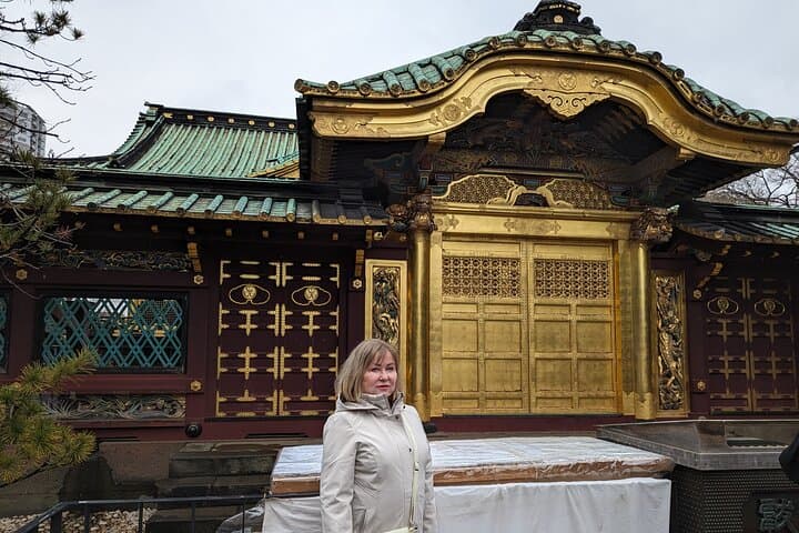 Tokyo 5hr Private Guided Tour & Tea Ceremony Experience — photo 15