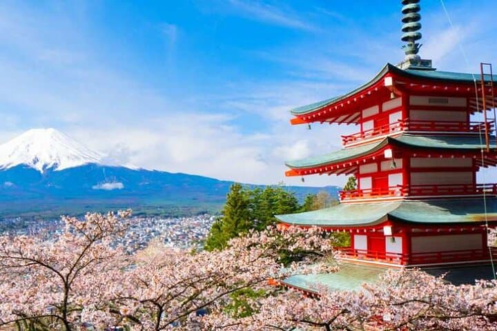 Exclusive Day Tour to Mount Fuji and Oshino Hakkai from Shinjuku — photo 3
