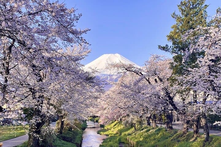 Exclusive Day Tour to Mount Fuji and Oshino Hakkai from Tokyo — photo 1