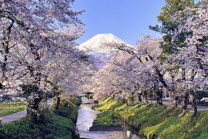 Exclusive Day Tour to Mount Fuji and Oshino Hakkai from Shinjuku — photo 7