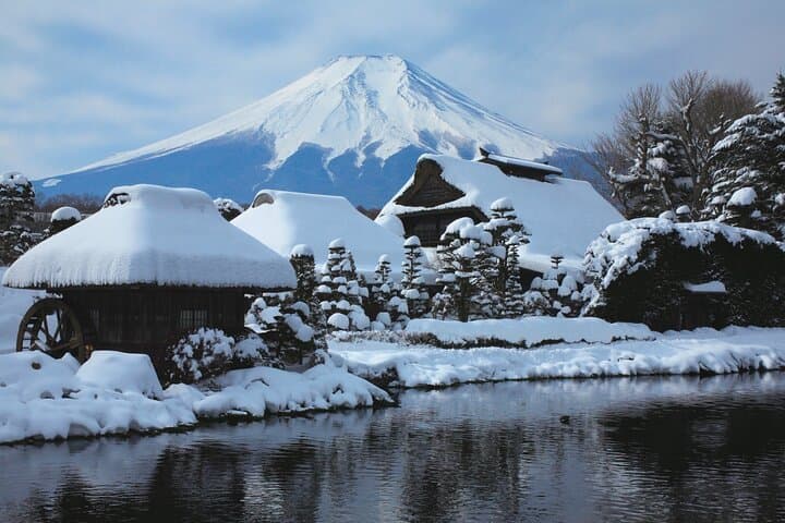 Exclusive Day Tour to Mount Fuji and Oshino Hakkai from Shinjuku — photo 8