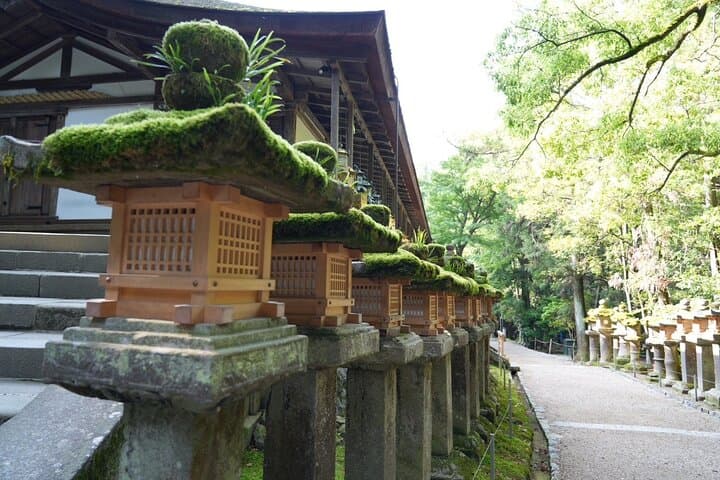 Nara Early Morning Tour (Kyoto or Osaka Departure Available) — photo 18
