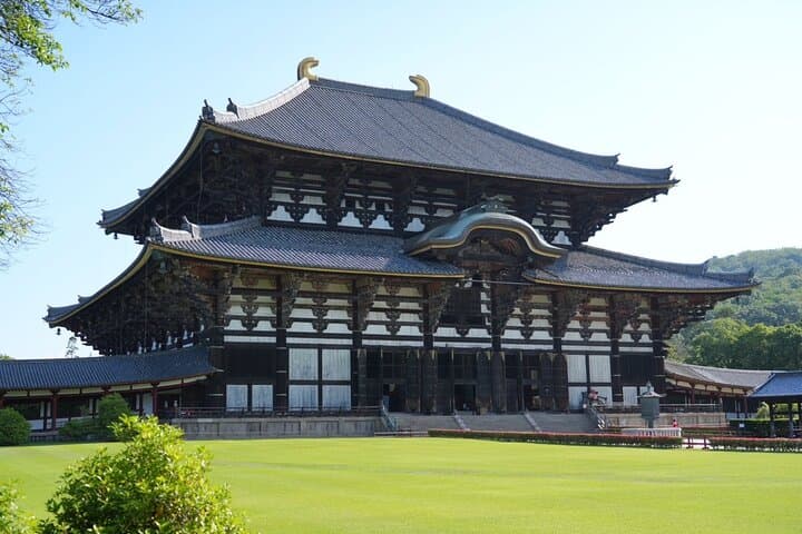 Nara Early Morning Tour (Kyoto or Osaka Departure Available) — photo 4