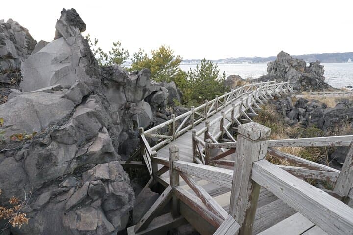 Kagoshima Senganen and Sakurajima Tour by private car — photo 9