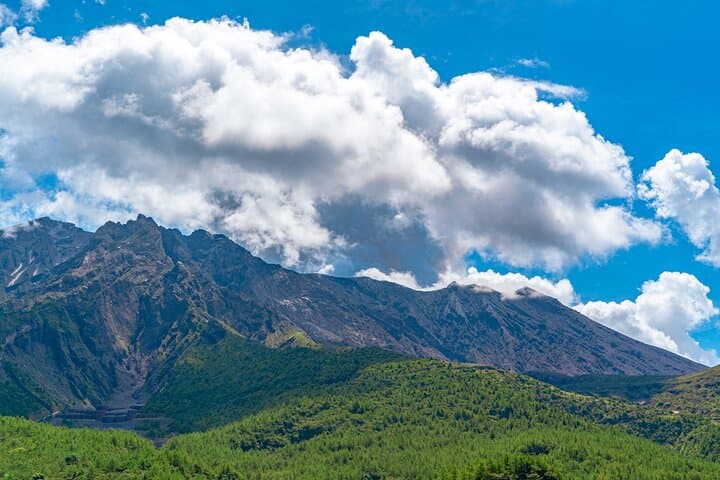 Kagoshima Senganen and Sakurajima Tour by private car — photo 3