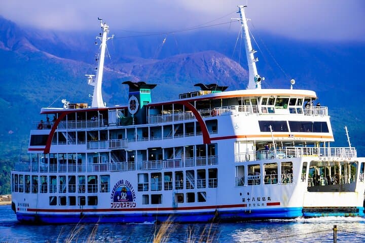 Kagoshima Senganen and Sakurajima Tour by private car — photo 13