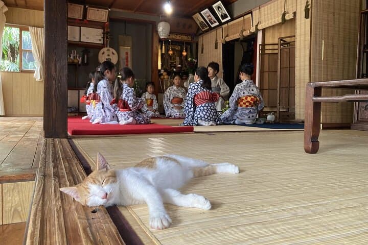 A Traditional Tatami Room Dance by Sumiyoshi Shachu Kagoshima — photo 5
