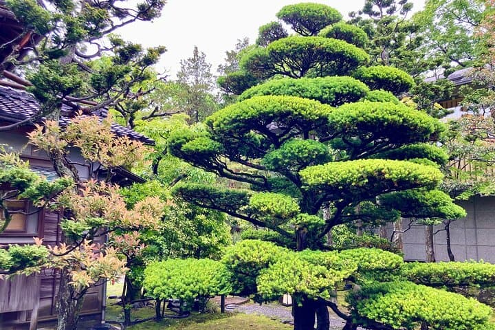 Private walking Tour: A Kanazawa Garden Exploration — photo 3
