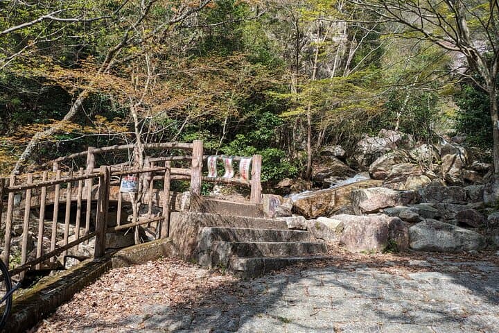 Private 3 Hours Waterfalls Sightseeing Tour — photo 2