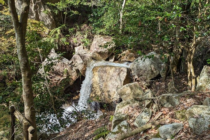 Private 3 Hours Waterfalls Sightseeing Tour — photo 3