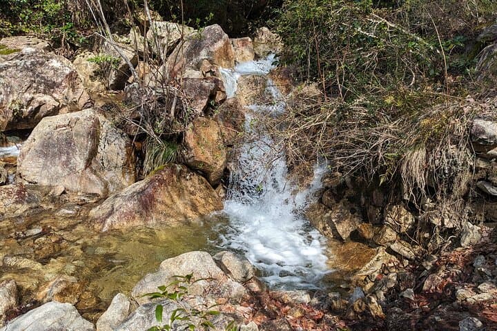 Private 3 Hours Waterfalls Sightseeing Tour — photo 4