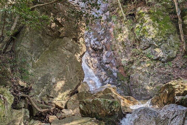 Private 3 Hours Waterfalls Sightseeing Tour — photo 5