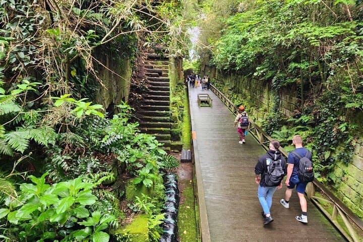 Yokosuka Adventure: Explore Uninhabited Island — photo 7