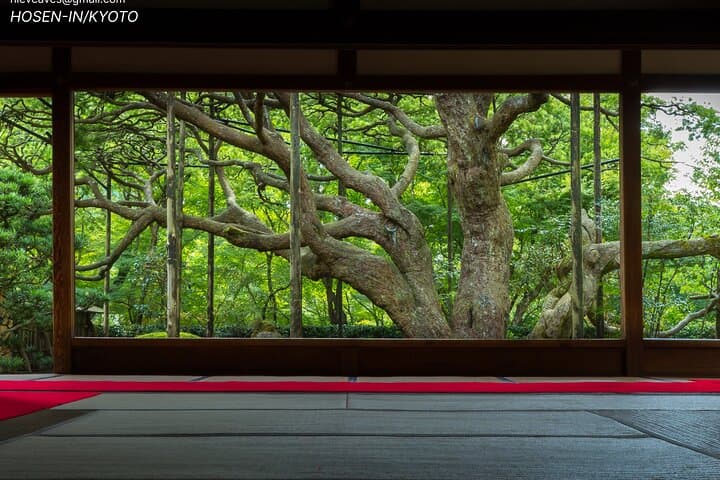 Authentic Kyoto Guided Tour With A History and Culture Expert — photo 19