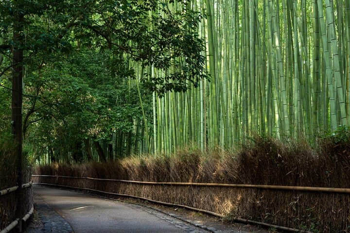 Authentic Kyoto Guided Tour With A History and Culture Expert — photo 20