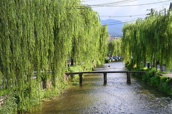 Authentic Kyoto Guided Tour With A History and Culture Expert — photo 2