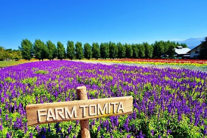 2026 Biei Blue Pond "Aoi-Ike", Asahiyama Zoo and Farm Tomita — photo 6