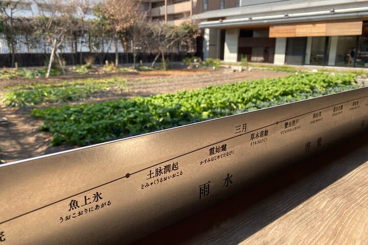 Vegan Edible Flower Sushi Making and Vegetable Tour in Kyoto — photo 10