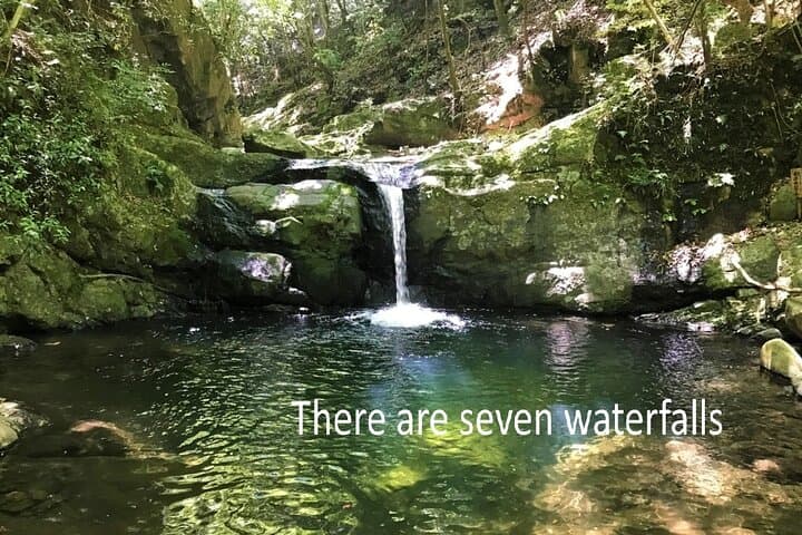 Mt. Inunaki Trekking and Hot Springs in Izumisano, Osaka — photo 11