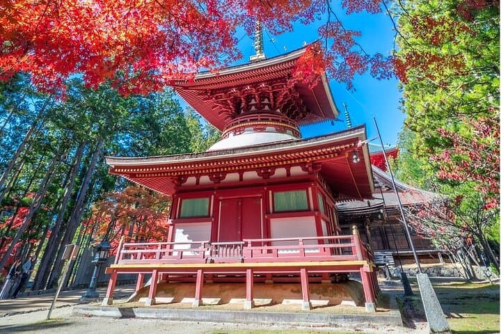 Kyoto to Mt. Koya One Day Walking Tour — photo 5