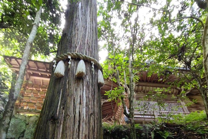Hiroshima Scenic E-Bike Tour — photo 9
