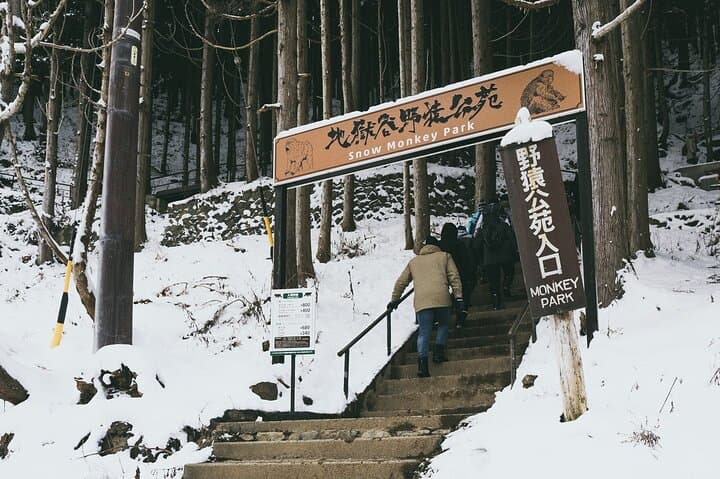 10 Day Japan Private Tour Unveiling Maximum Attractions — photo 18