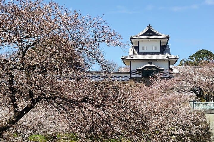 Private walking Tour of Kanazawa's Historical Districts 4h — photo 4