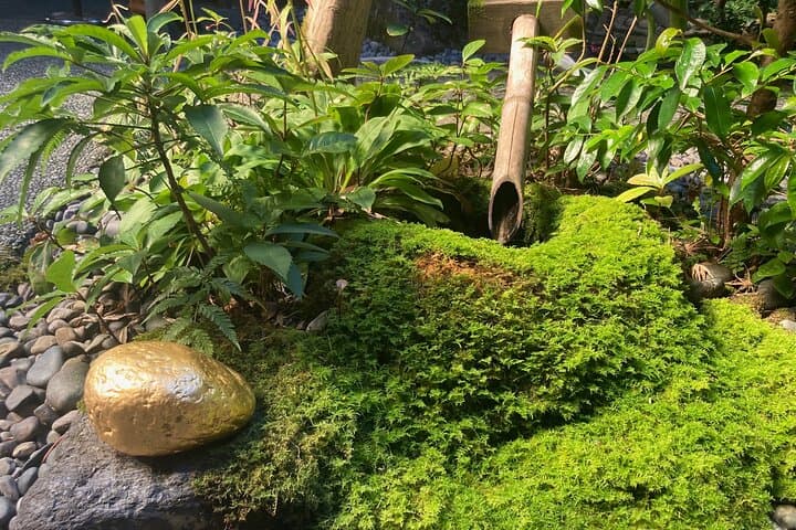 Private walking Tour of Kanazawa's Historical Districts 4h — photo 6