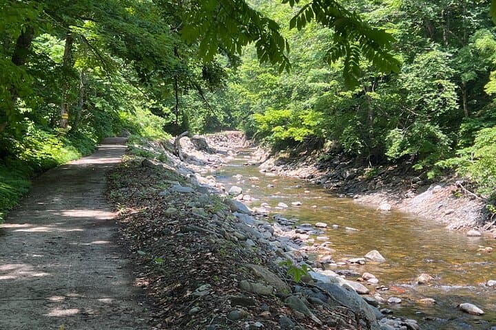 Full Day World Heritage Shirakami Mountains Hiking Tour — photo 13