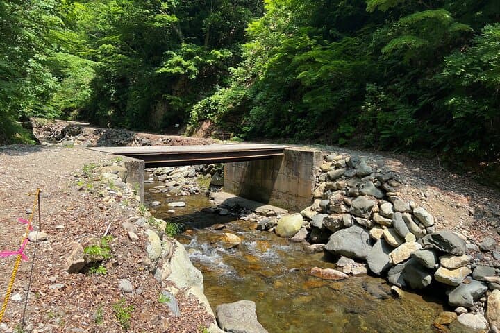 Full Day World Heritage Shirakami Mountains Hiking Tour — photo 15