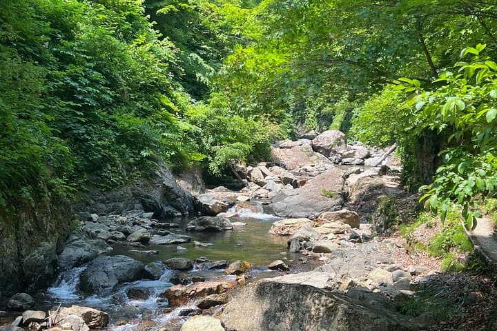 Full Day World Heritage Shirakami Mountains Hiking Tour — photo 19