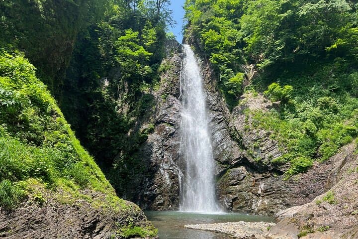 Full Day World Heritage Shirakami Mountains Hiking Tour — photo 20