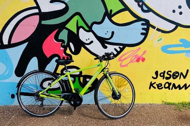 Okinawa E-bike Rental (Sporty Type) — photo 3