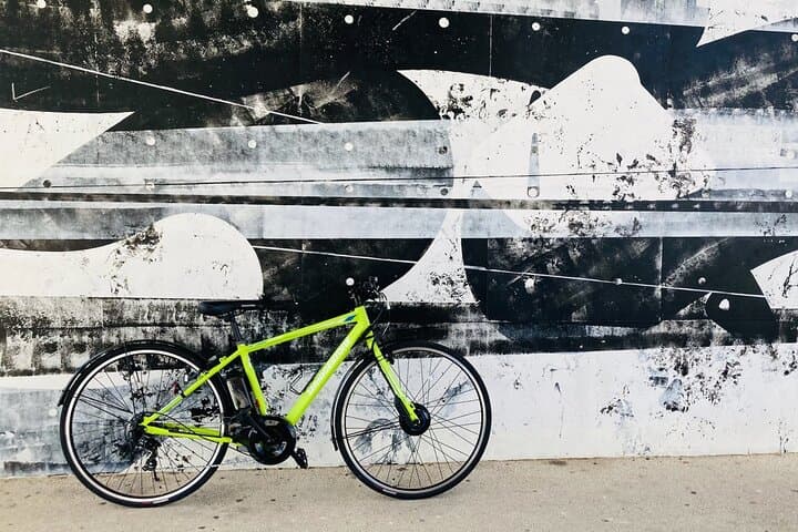 Okinawa E-bike Rental (Sporty Type) — photo 4