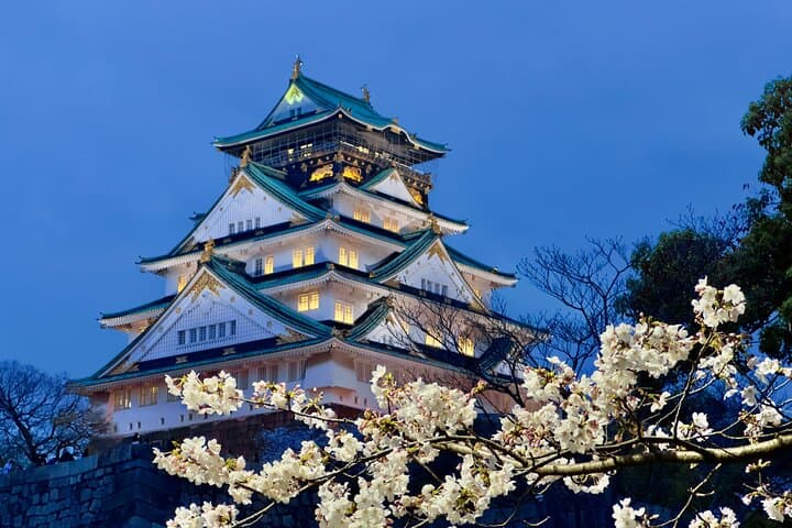 Osaka & Nara in 1-Day by Private Van with Local Expert Guide — photo 9
